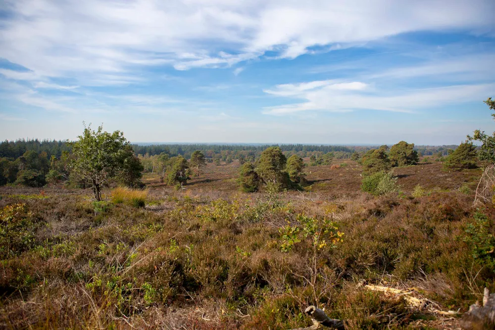 Vakantiepark De Luttenberg - image n°46 - UniversalBooking