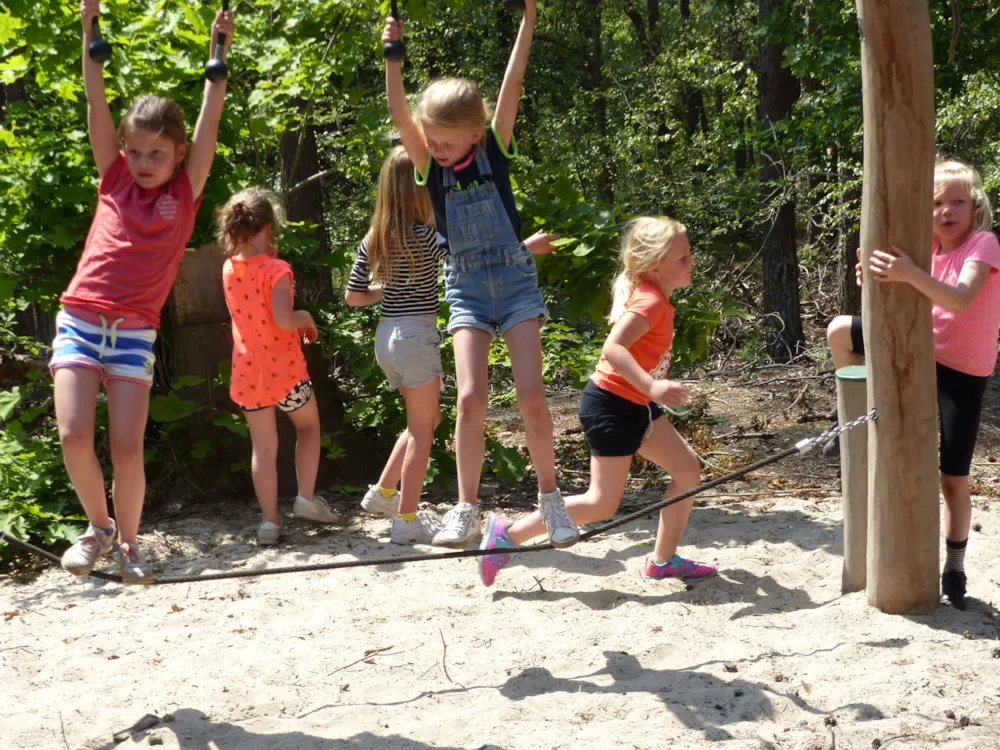 Vakantiepark De Luttenberg - image n°44 - UniversalBooking