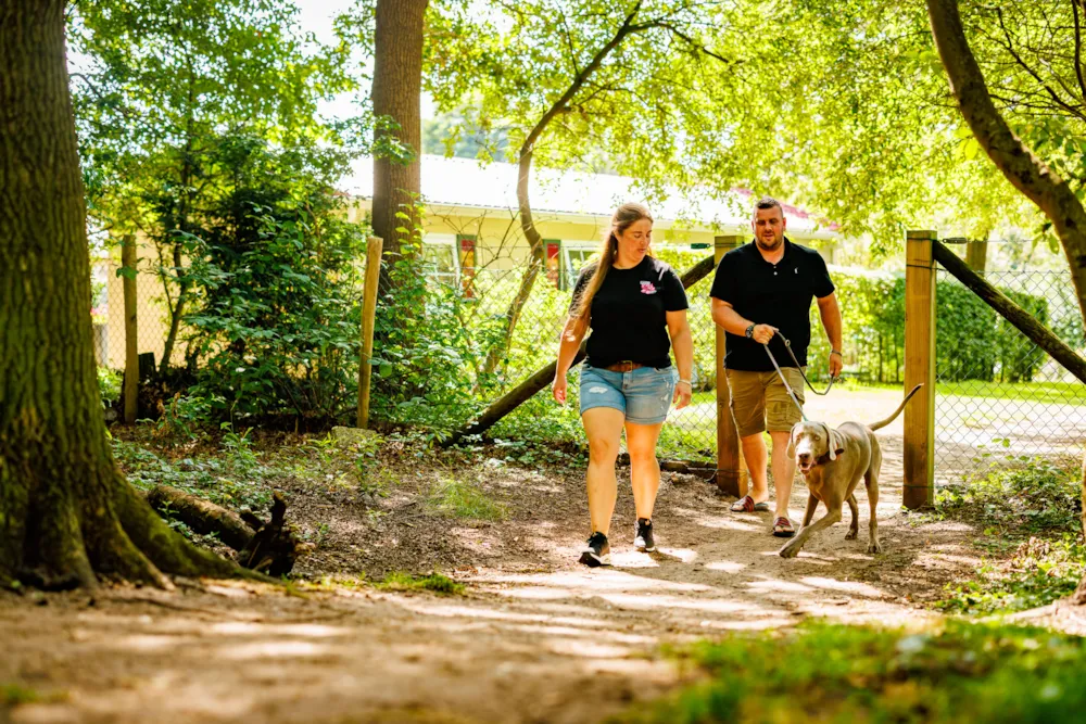 Vakantiepark De Luttenberg - image n°3 - UniversalBooking