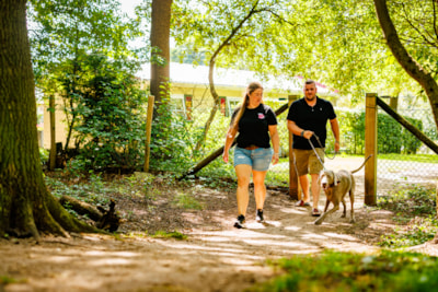 Vakantiepark De Luttenberg