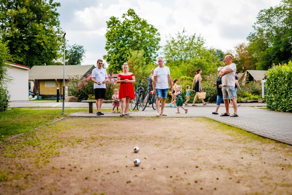 Vakantiepark De Luttenberg - image n°36 - UniversalBooking