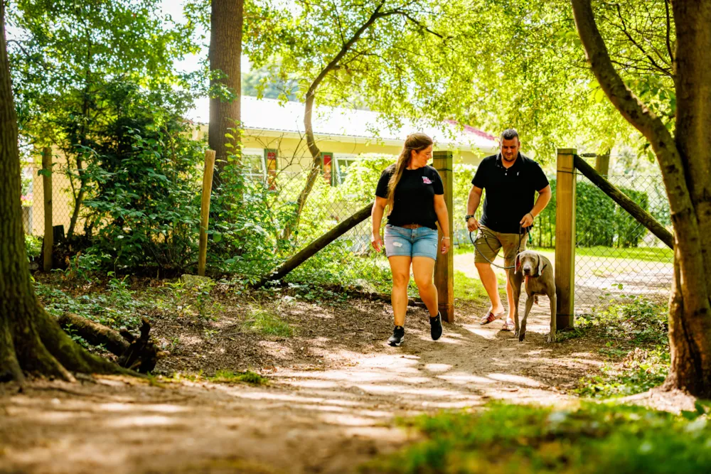 Vakantiepark De Luttenberg - image n°40 - UniversalBooking