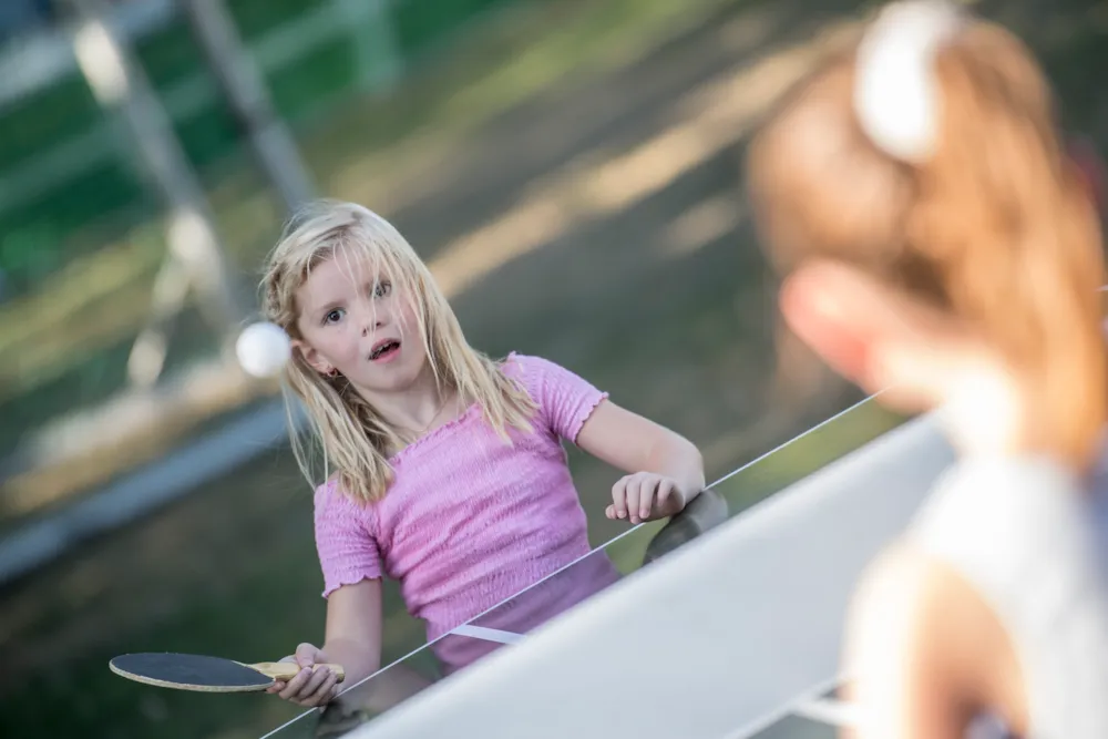 Vakantiepark De Luttenberg - image n°43 - UniversalBooking