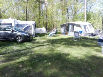 Stellplatz - Stellplatz Basic Mit Hund (10A) - de Kienehoef