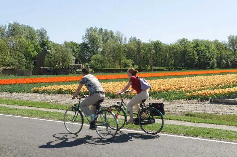 Vakantiepark Koningshof