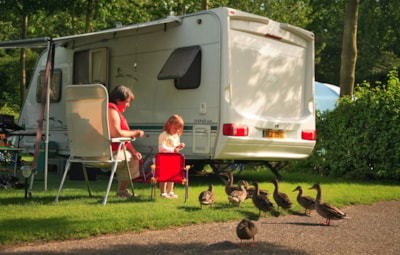 Camping pitch - 80m² — 1