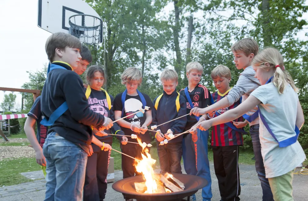 Vakantiepark Koningshof