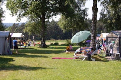 Camping plot 100 m² car-free camping field (incl. 2 pers. + 10A electricity) — 2