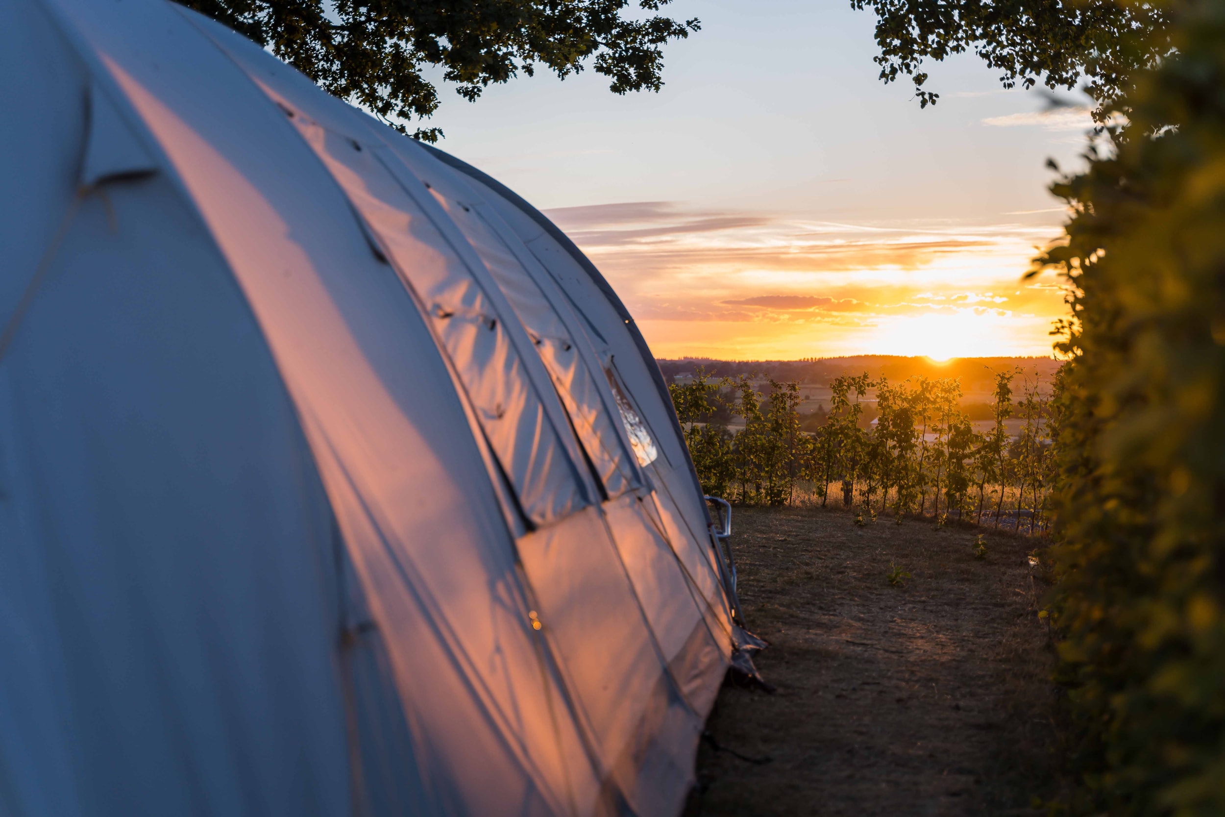 Camping Hohenbusch — Foto 8