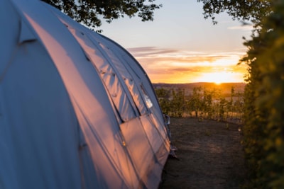 Camping Hohenbusch