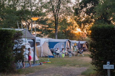 Camping plot 100 m² car-free camping field (incl. 2 pers. + 10A electricity) — 4
