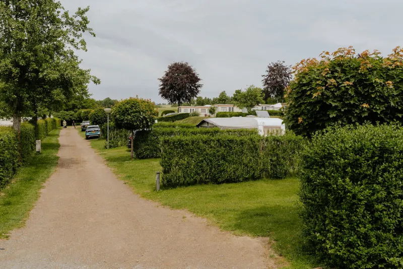 Emplacement Confort 150 M² (Incl. 2 Pers. + 10A Électricité)