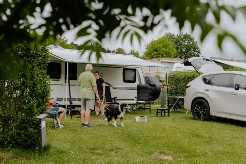 Emplacement Confort 150 M² (Incl. 2 Pers. + 10A Électricité)