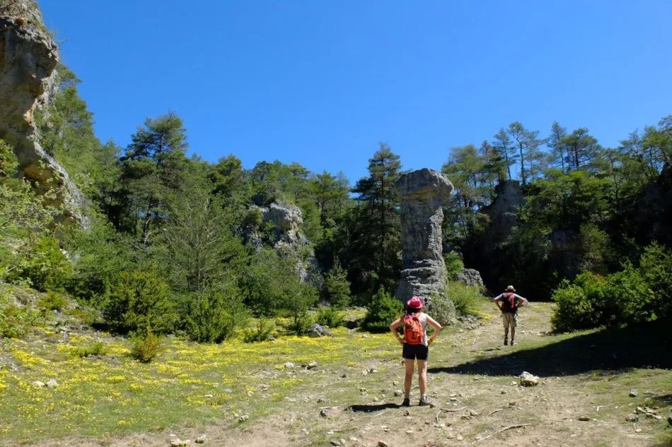 Camping Sandaya Les Rivages