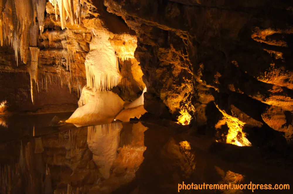 Flower Camping l'Echo du Malpas - image n°36 - UniversalBooking