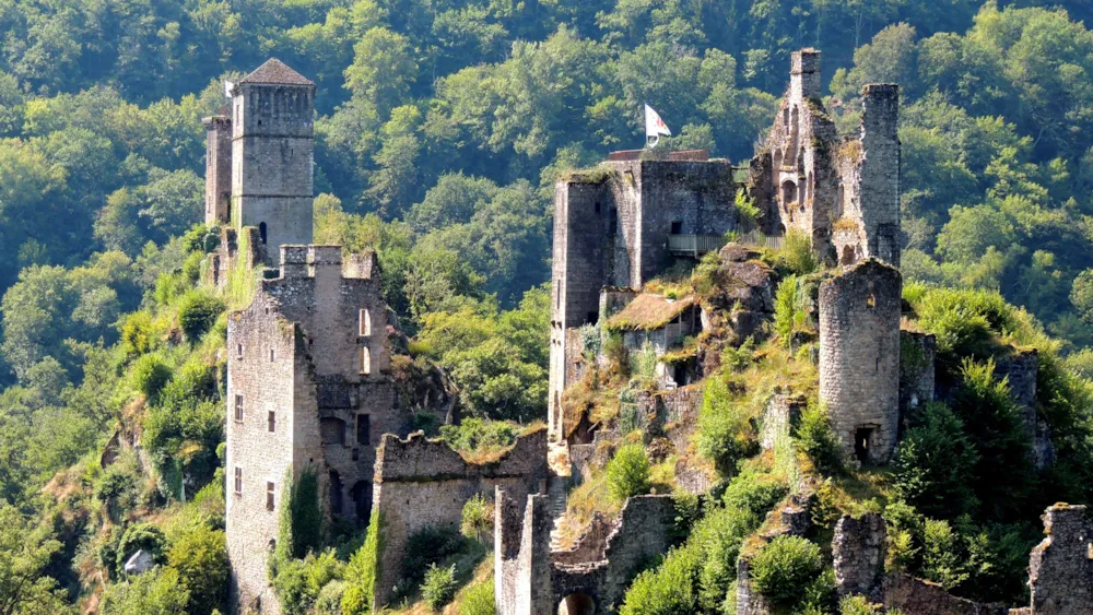 Flower Camping l'Echo du Malpas - image n°37 - UniversalBooking