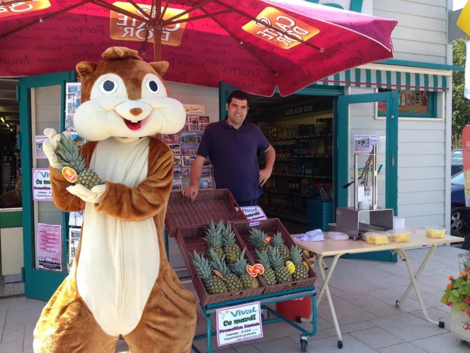 Camping Saint Disdille