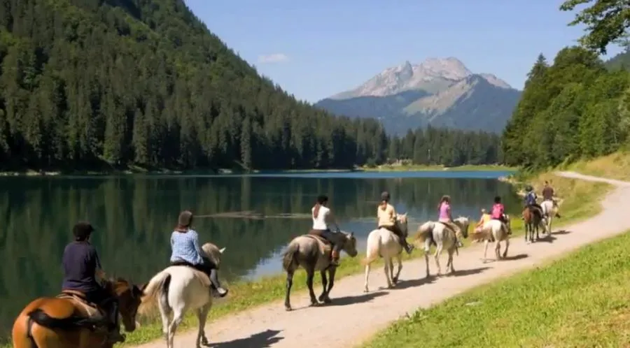 Camping Saint Disdille