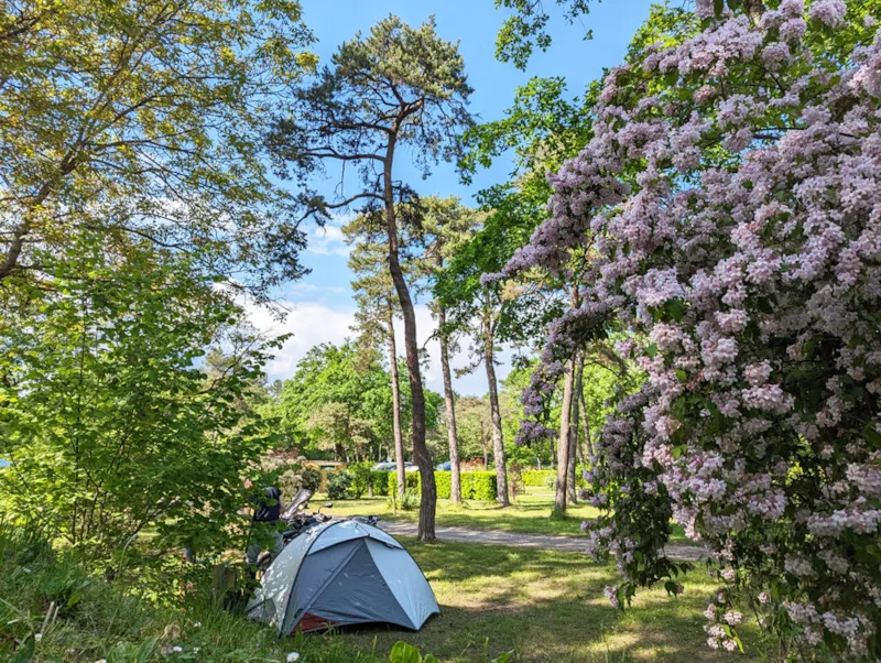 Emplacement Confort >100 M² : Emplacement + Caravane Ou Tente + Voiture Ou Camping-Car + Électricité