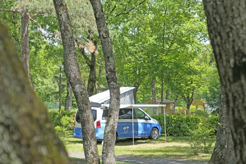 Emplacement Confort >100 M² : Emplacement + Caravane Ou Tente + Voiture Ou Camping-Car + Électricité