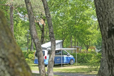 Comfort pitch ~100 m²: pitch + caravan or tent or camper + car + electricity