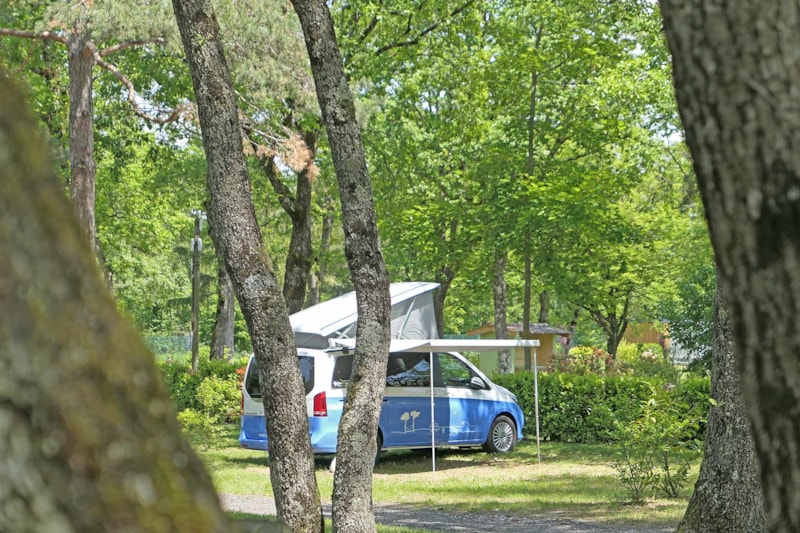 Camping Saint-Disdille - Photo 2