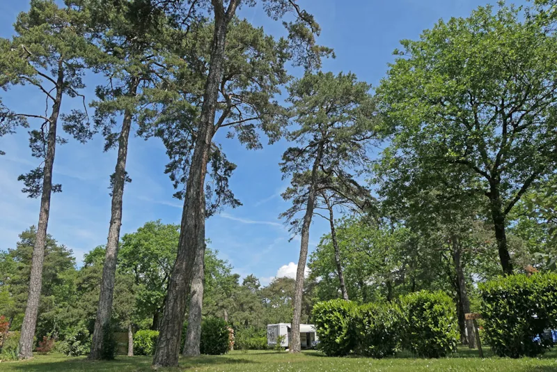 Emplacement Confort >100 M² : Emplacement + Caravane Ou Tente + Voiture Ou Camping-Car + Électricité