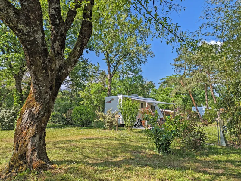 Emplacement Privilège (Gcc) >120M² : Emplacement + Caravane Ou Tente + Voiture Ou Camping-Car + Élec