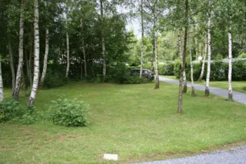 Stellplatz - Stellplatz + Wohnmobil - Camping de Chênefleur