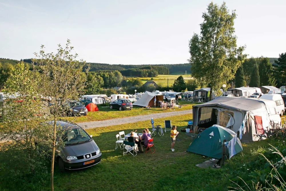 ArdenParks Petite Suisse 