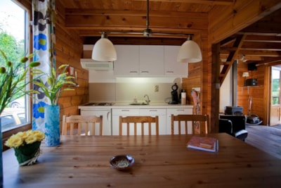 Finnish Chalet — 4