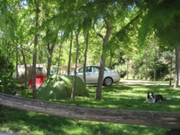Camping Trevélez - image n°4 - Roulottes
