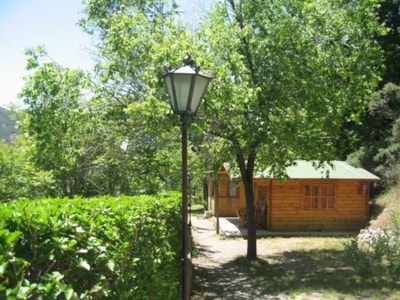 CHORILLO Cabin — 4