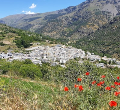 Camping Trevélez