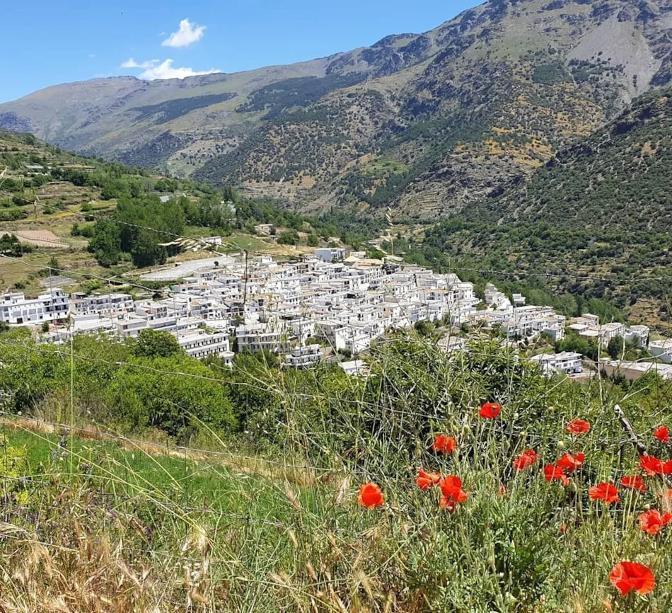 Camping Trevélez