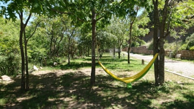 Pitch  tent — 1