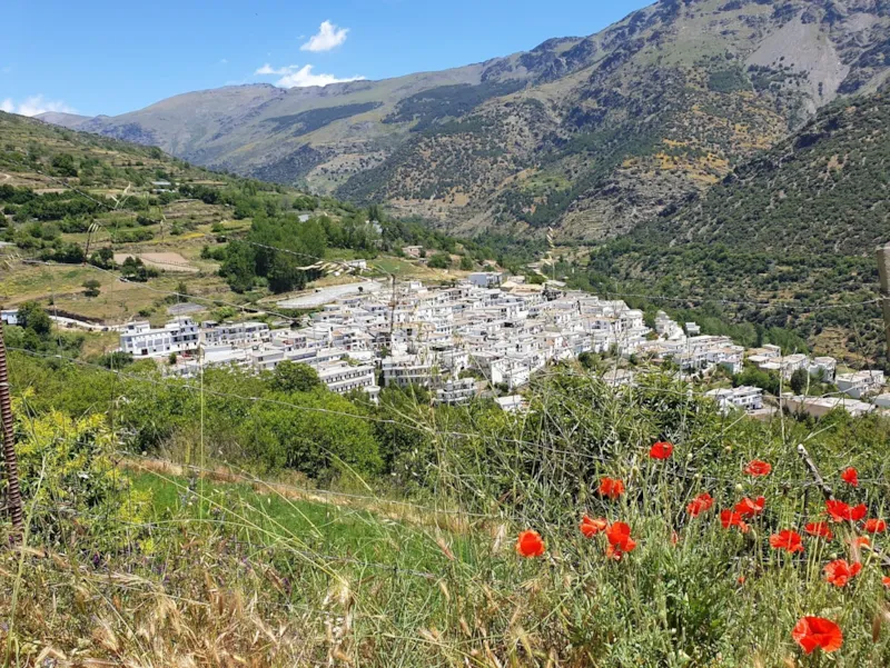 Emplacement Caravanne