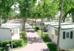 Casa Mobile Maui Con Veranda Pavimentata E Coperta, Con Tavolo E Sedie Da Giardino. Casa Mobile Maui Con Veranda Pavimentata E Coperta, Con Tavolo E Sedie Da Giardino.