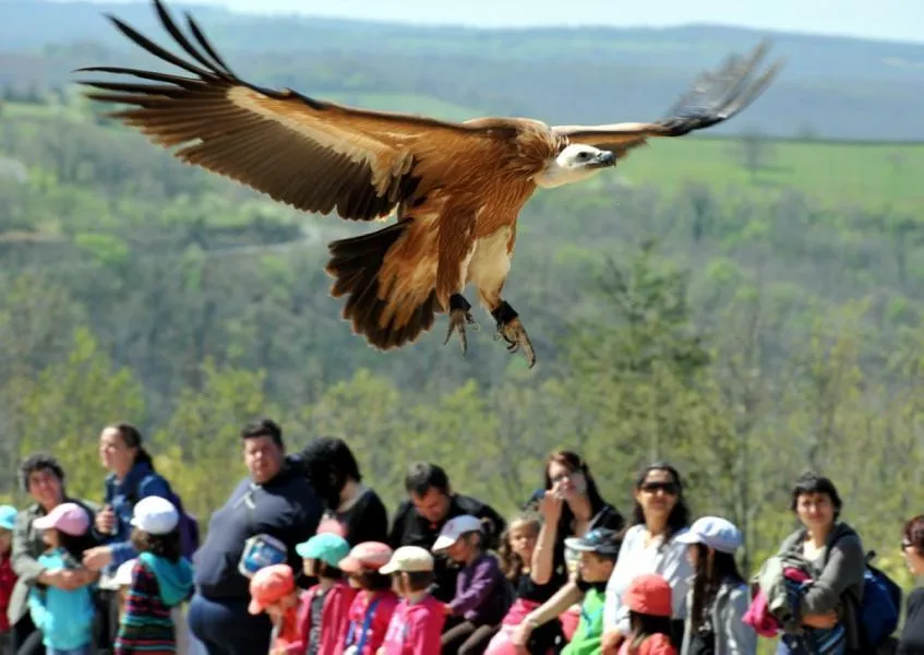 Camping l'Eau Vive - image n°75 - UniversalBooking