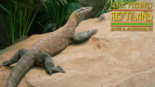 Camping l'Eau Vive - image n°76 - UniversalBooking