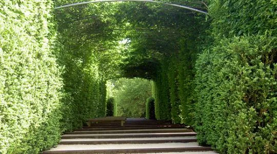 Camping l'Eau Vive - image n°62 - UniversalBooking