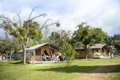 Sweet tent — 10