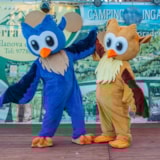 Foto #14 van Camping-Bungalow Park Serra de Prades