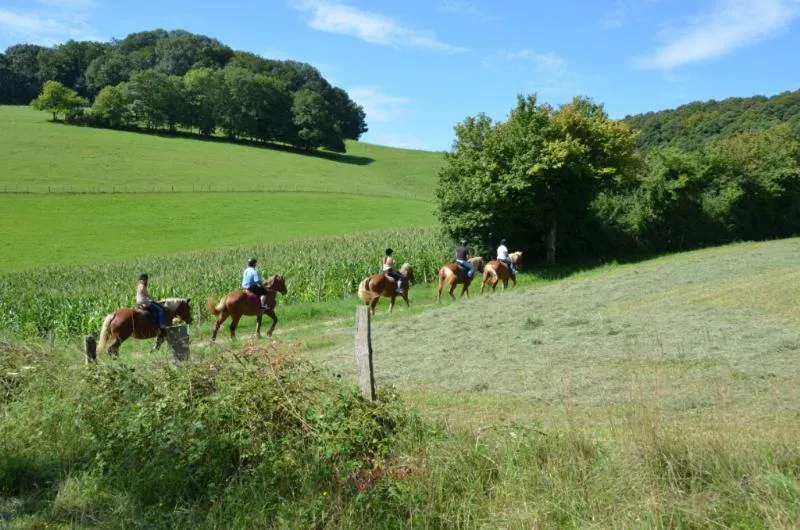 Camping Du Bois De Reveuge