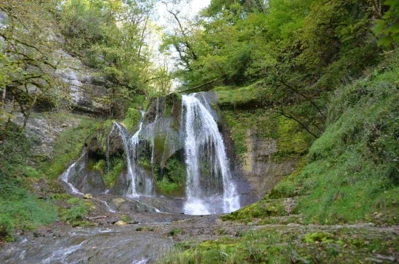 Camping Du Bois De Reveuge