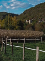 Foto #19 van Camping Ruisseau du Treil