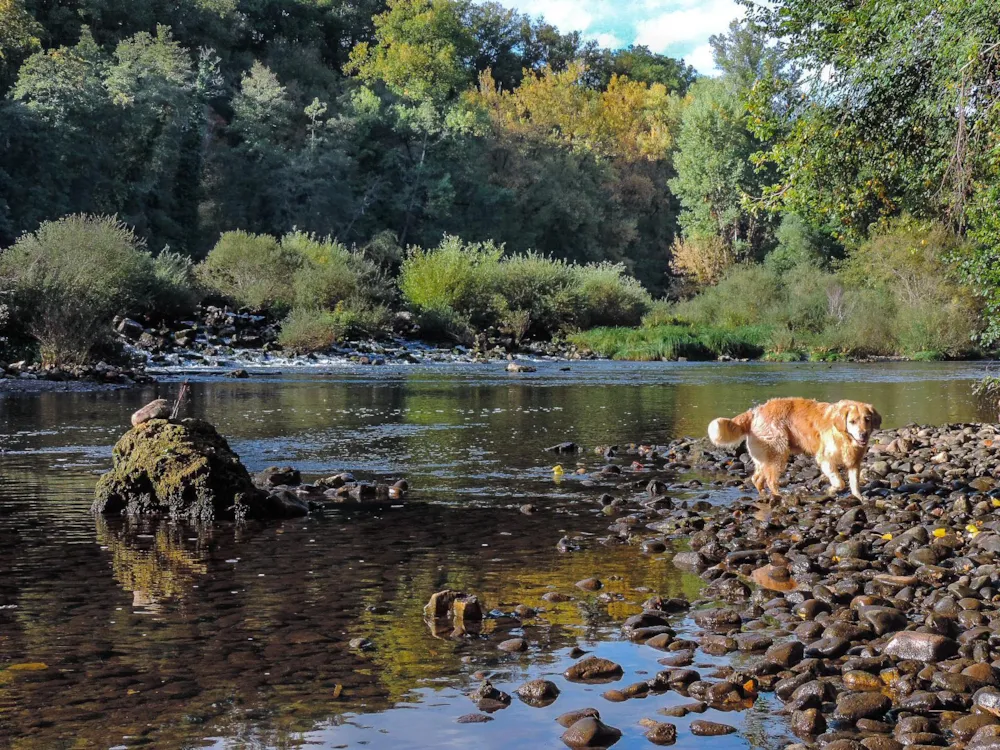 Camping Ruisseau du Treil - image n°40 - UniversalBooking