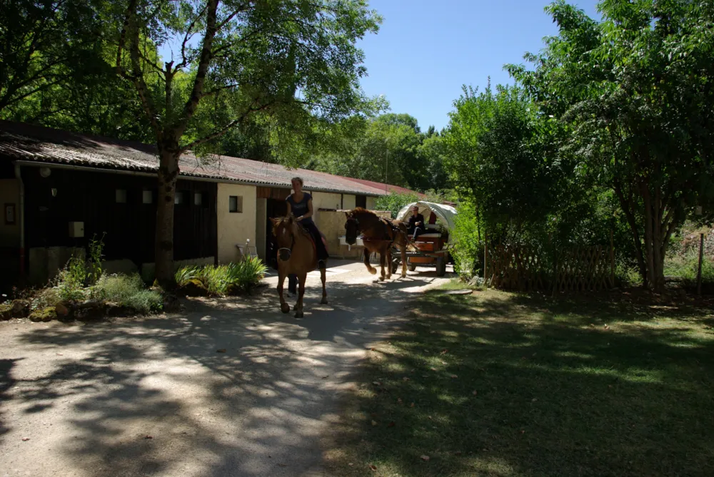 Stellplatz 1 Person Ohne Fahrzeug