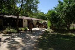 Kampeerplaats(en) - Standplaats 1 Persoon Zonder Voertuig - Camping Ruisseau du Treil