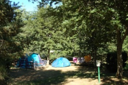 Kampeerplaats(en) - Kamperen: Staanplaats Voor Tent Of Van (Elektriciteit Niet Inbegrepen) - Camping*** Le Repos du Baladin